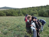 Clicca qui per vedere l'immagine in dettaglio